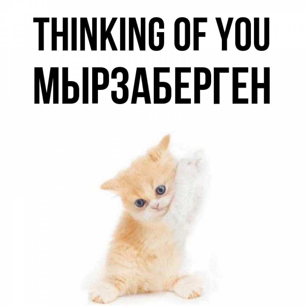 Greetings card с именем, Мырзаберген Thinking of you зверушки и милота Greetings with text for free download 