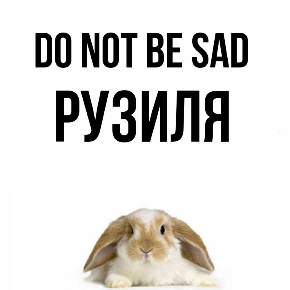 Greetings card с именем, Рузиля Do not be sad коричнево белый заяц с большими ушками Greetings with text for free download 