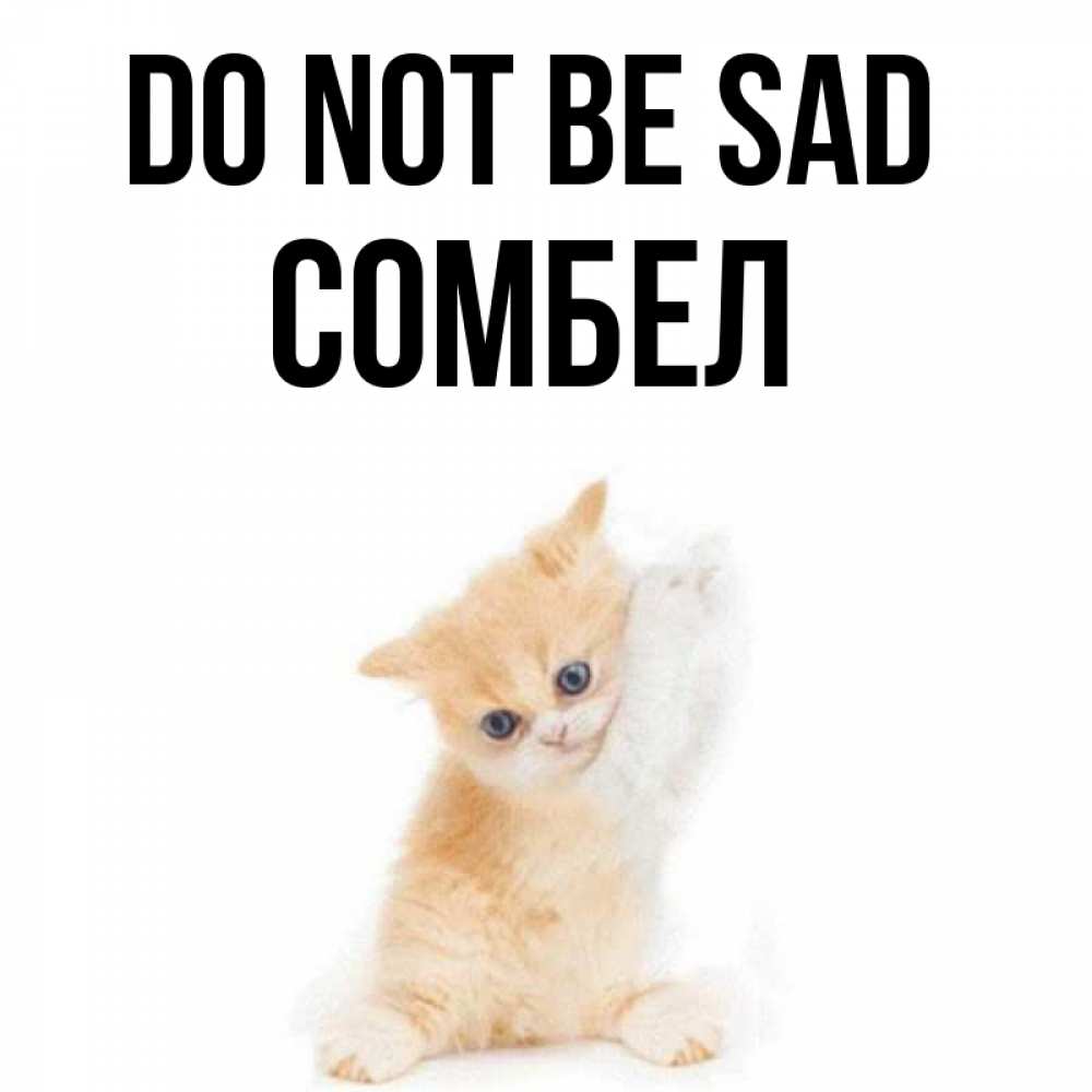 Greetings card с именем, СОМБЕЛ Do not be sad просящий кот Greetings with text for free download 