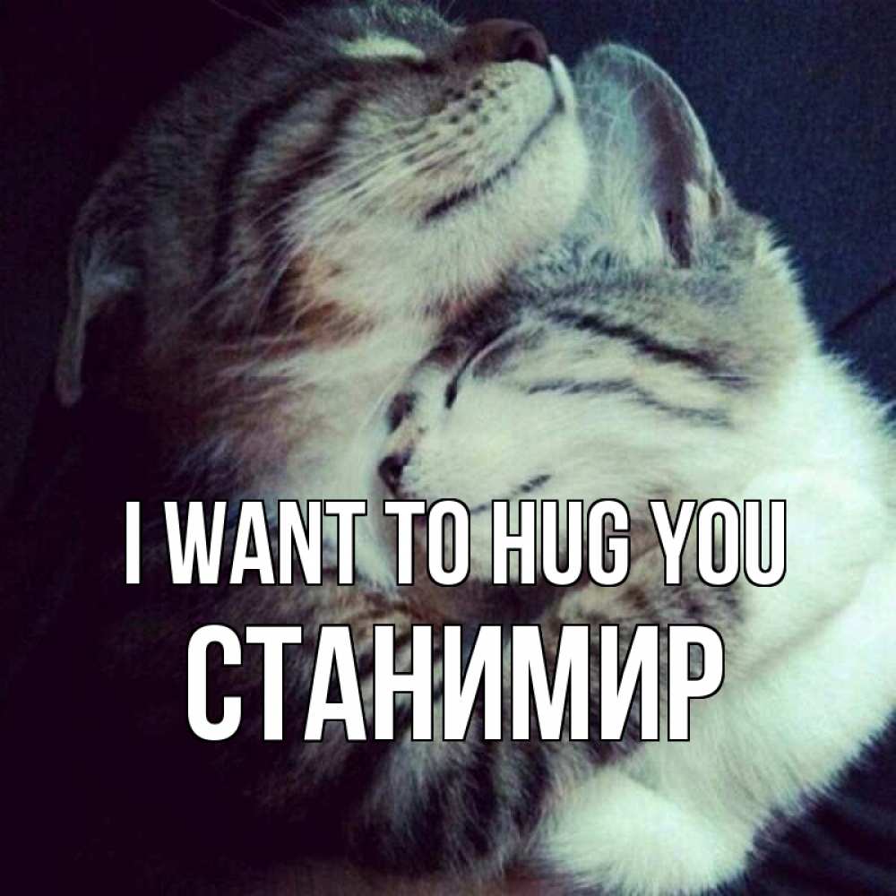 Greetings card с именем, Станимир I want to hug you полосатики Greetings with text for free download 