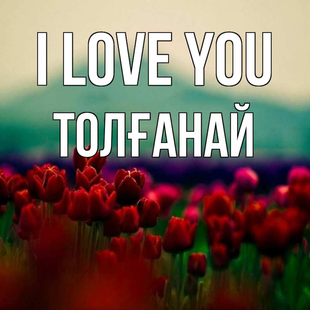 Greetings card с именем, ТОЛҒАНАЙ I love you тюльпаны 4 Greetings with text for free download 