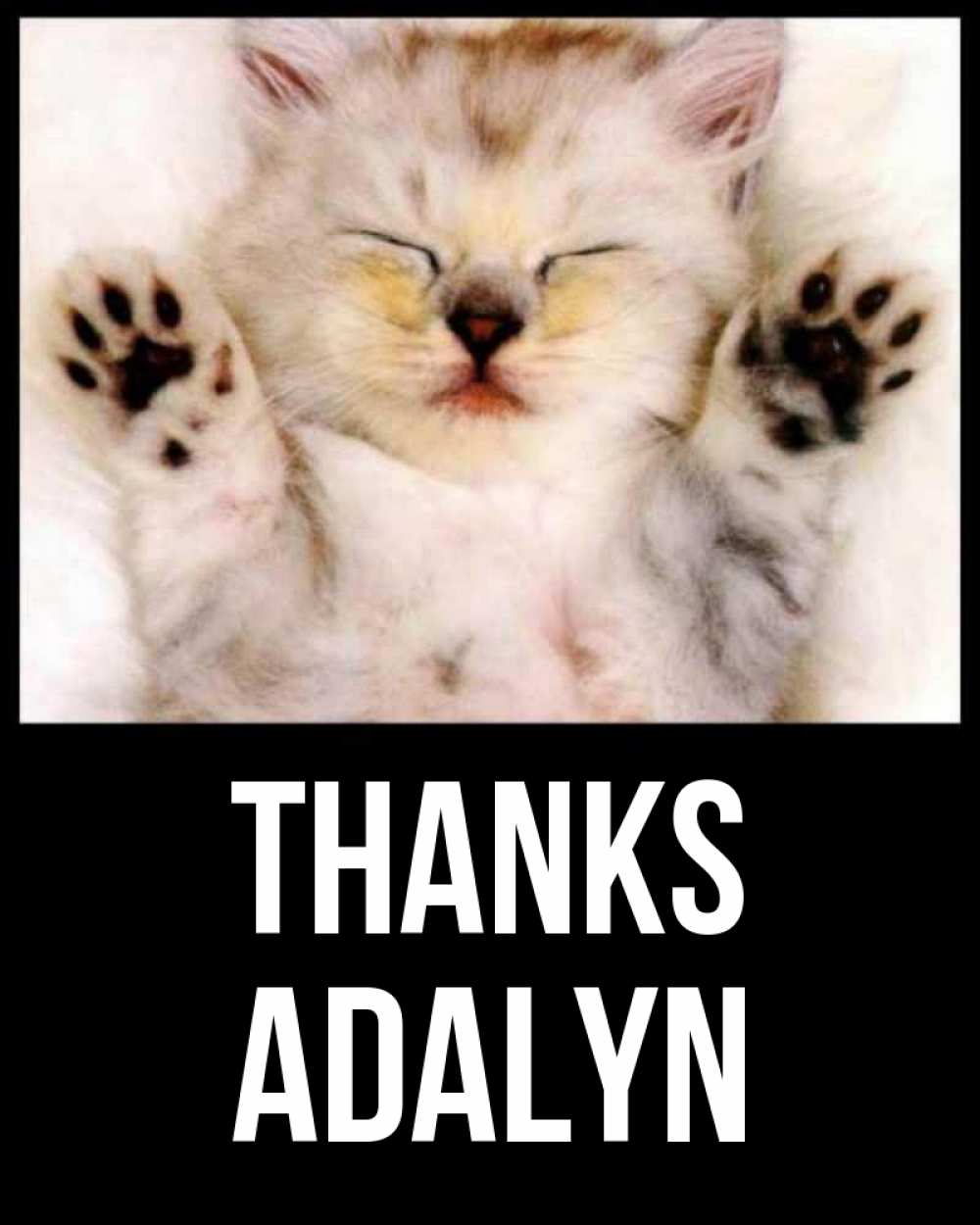Greetings card с именем, Adalyn Thanks маленький котенок Greetings with text for free download 