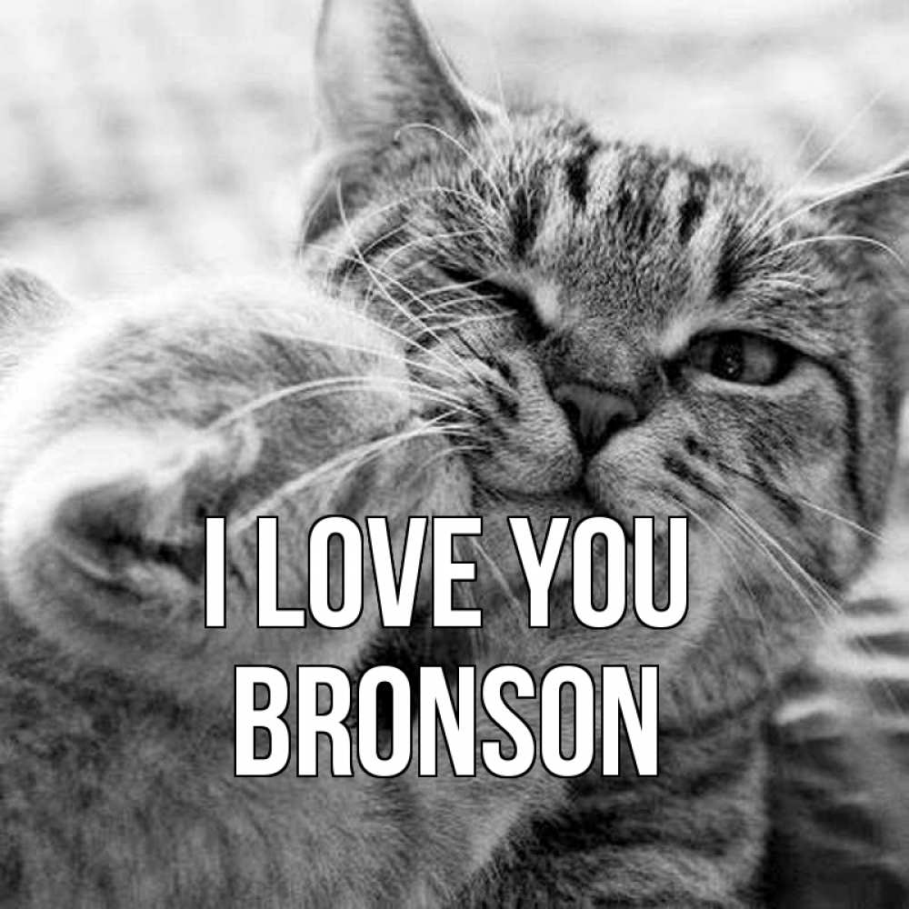 Greetings card с именем, Bronson I love you коты Greetings with text for free download 