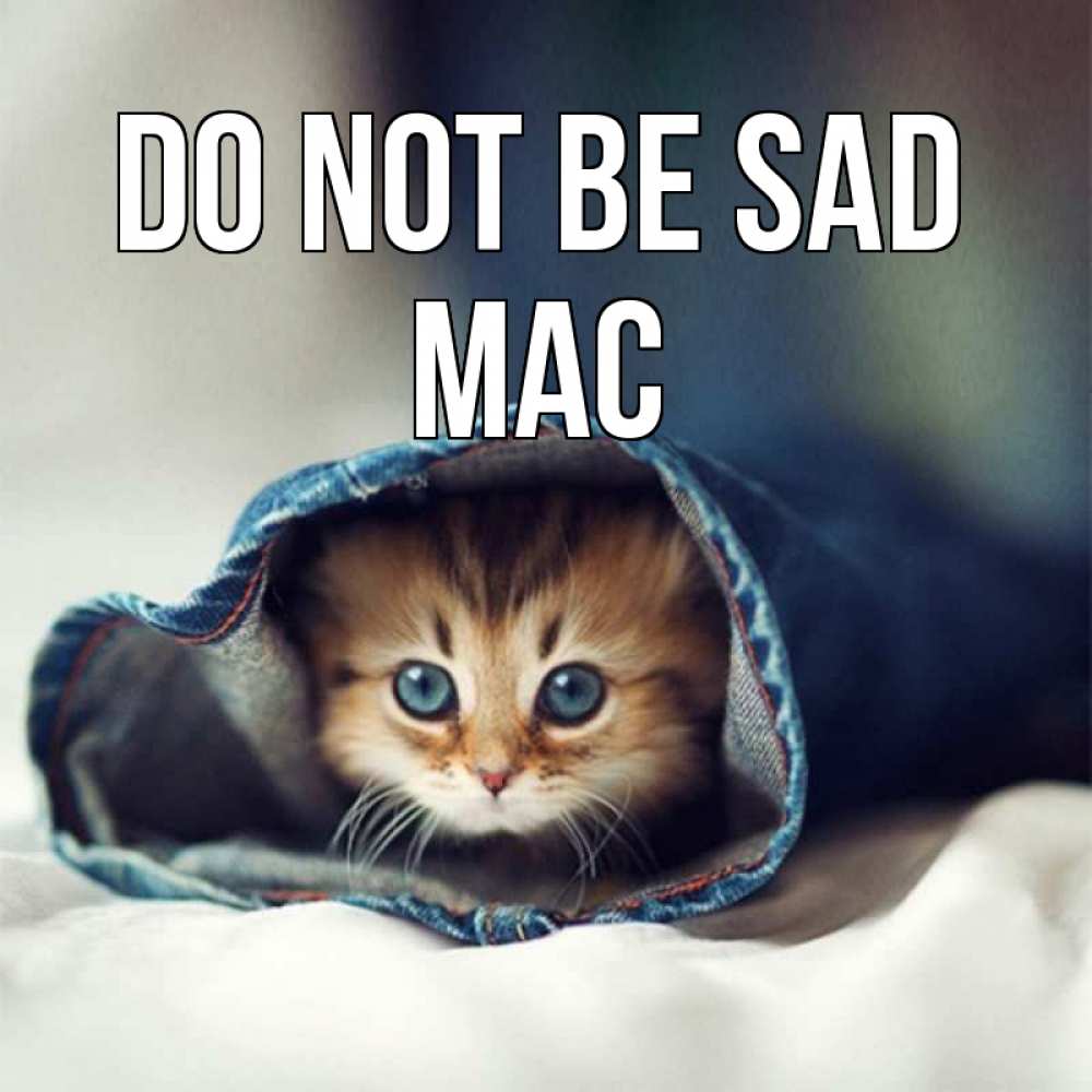 Greetings card с именем, Mac Do not be sad кот в одежде Greetings with text for free download 