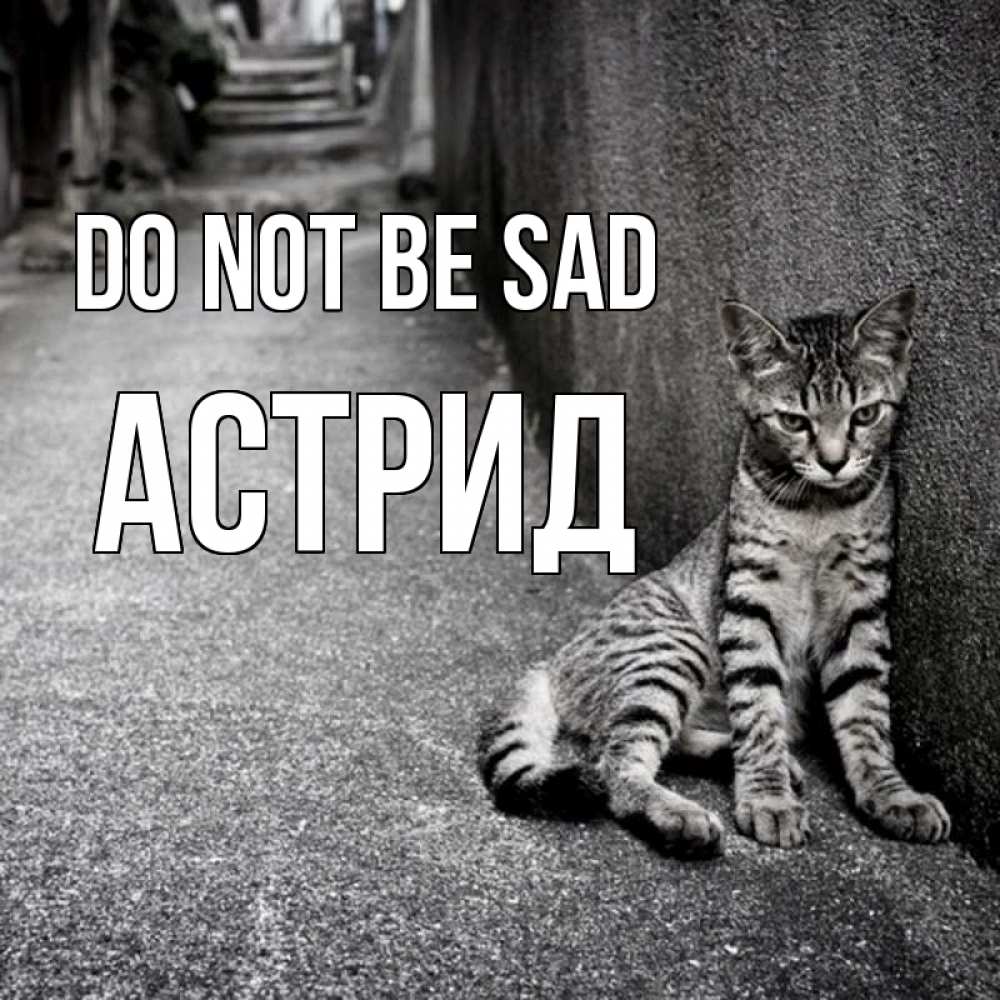 Greetings card с именем, Астрид Do not be sad скучающий котик Greetings with text for free download 