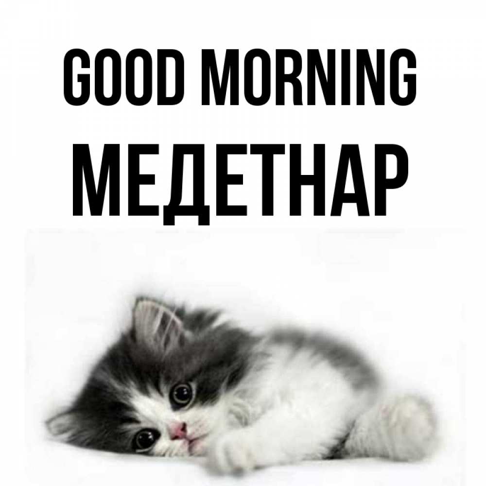 Greetings card с именем, МЕДЕТНАР Good morning кот лапки Greetings with text for free download 