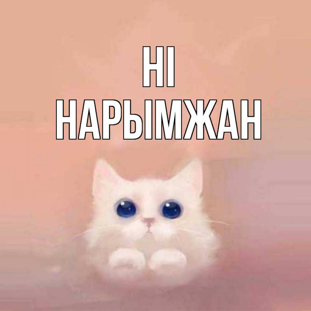 Greetings card с именем, НАРЫМЖАН Hi котик белый в полете Greetings with text for free download 