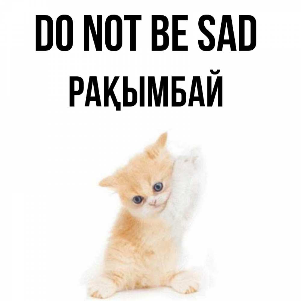 Greetings card с именем, Рақымбай Do not be sad просящий кот Greetings with text for free download 