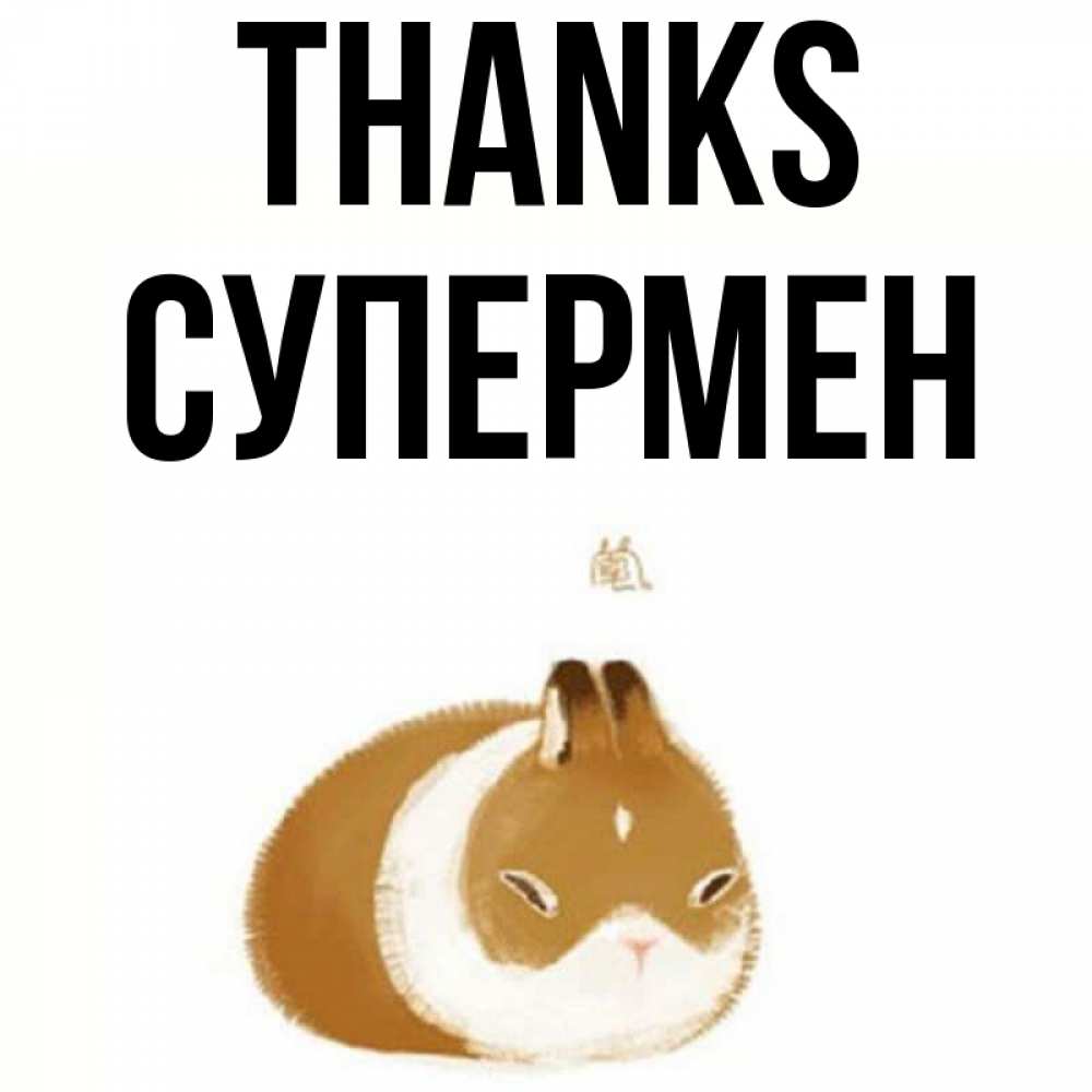Greetings card с именем, Супермен Thanks коричнево белый домашний питомец Greetings with text for free download 