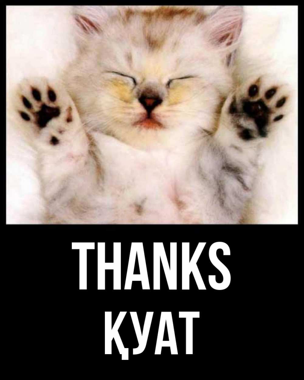 Greetings card с именем, ҚУАТ Thanks маленький котенок Greetings with text for free download 