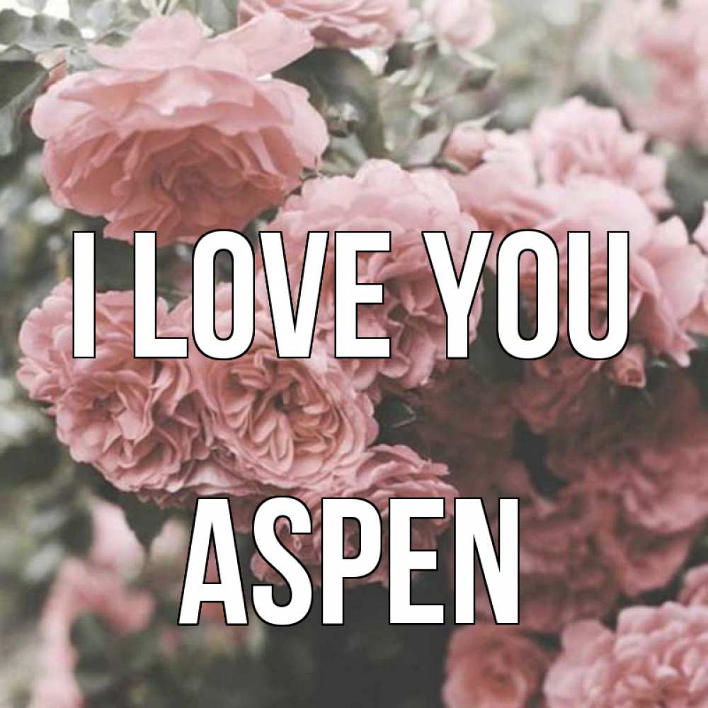 Greetings card с именем, Aspen I love you розы 3 Greetings with text for free download 