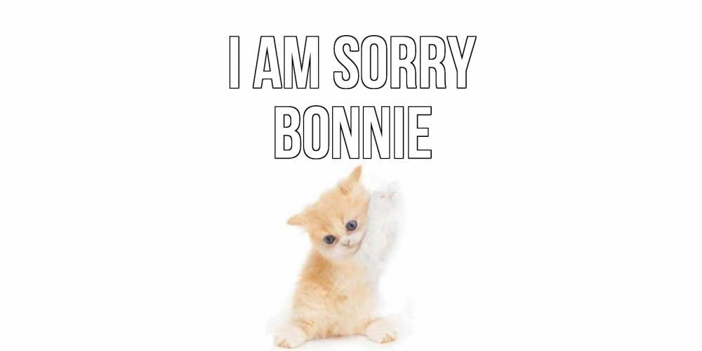 Greetings card с именем, Bonnie I am sorry кот Greetings with text for free download 