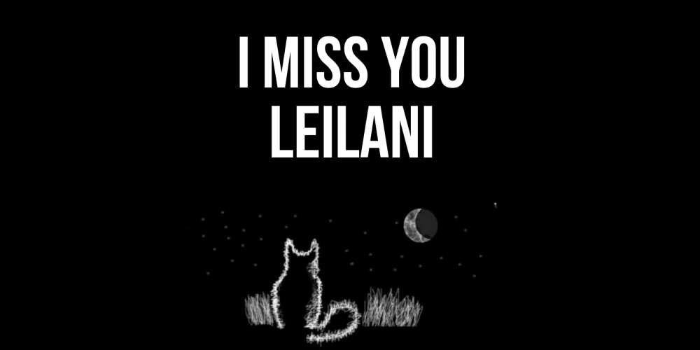 Greetings card с именем, Leilani I miss you кот Greetings with text for free download 