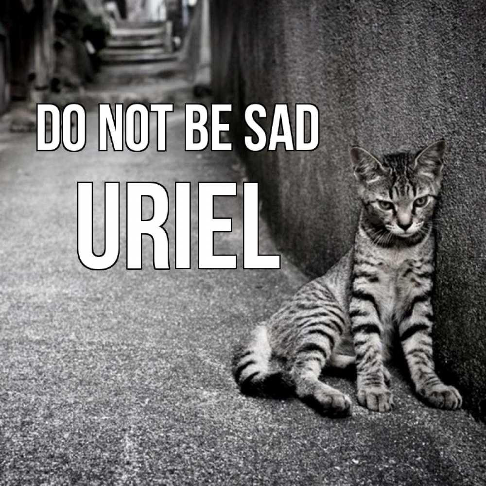 Greetings card с именем, Uriel Do not be sad скучающий котик Greetings with text for free download 