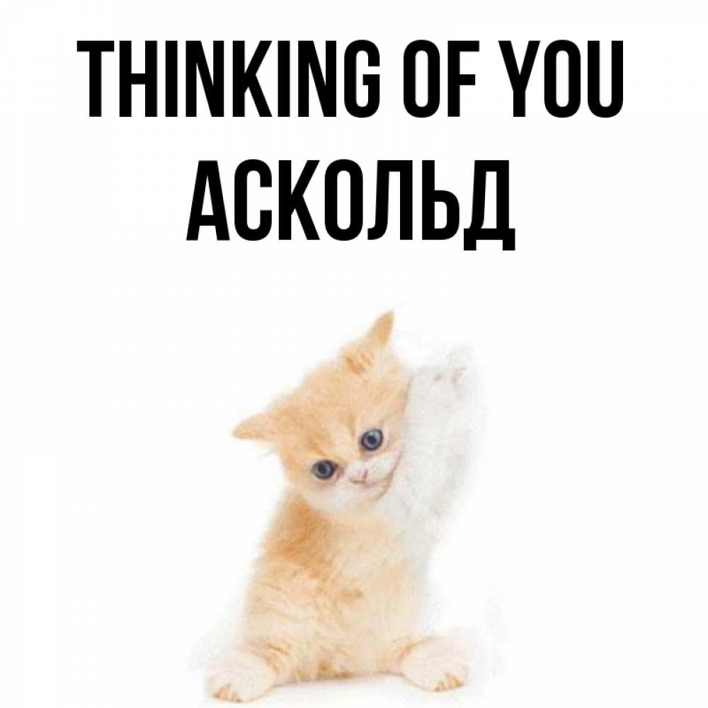 Greetings card с именем, Аскольд Thinking of you зверушки и милота Greetings with text for free download 