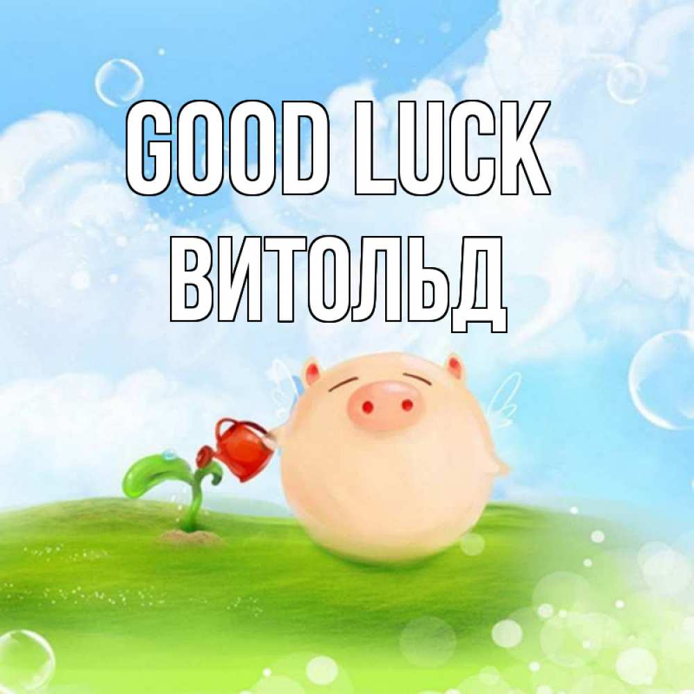 Greetings card с именем, Витольд Good luck поросенок поливает цветок. летнее настроение Greetings with text for free download 