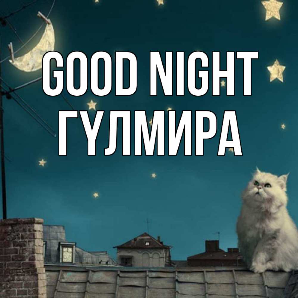 Greetings card с именем, ГҮЛМИРА Good night белый кот сидит на крыше Greetings with text for free download 