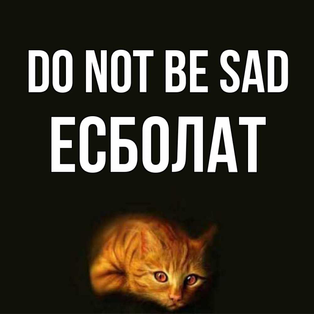 Greetings card с именем, Есболат Do not be sad лежащий кот в темноте Greetings with text for free download 