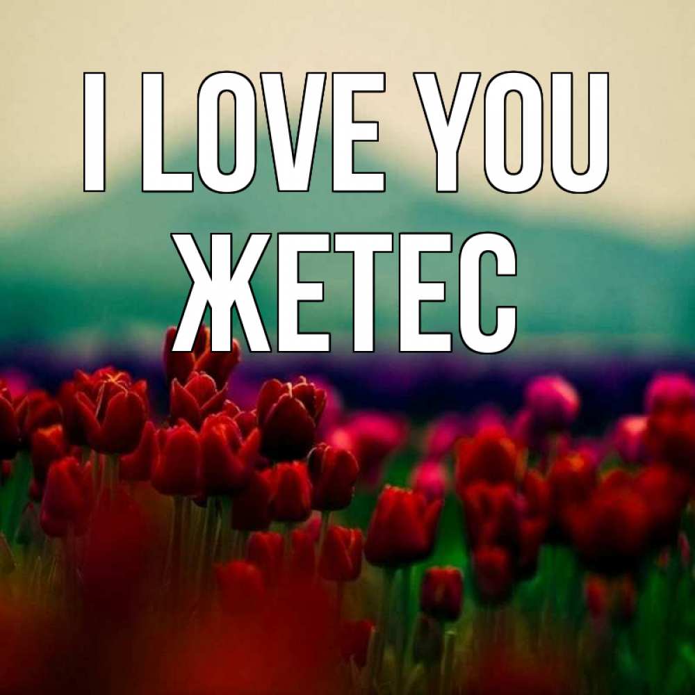Greetings card с именем, Жетес I love you тюльпаны 4 Greetings with text for free download 