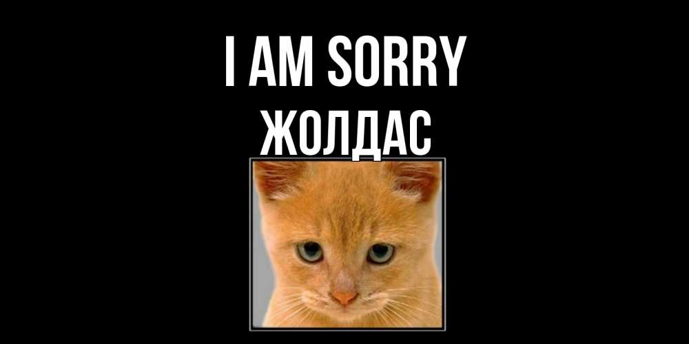 Greetings card с именем, Жолдас I am sorry рыжий грустный кот просит прощения Greetings with text for free download 