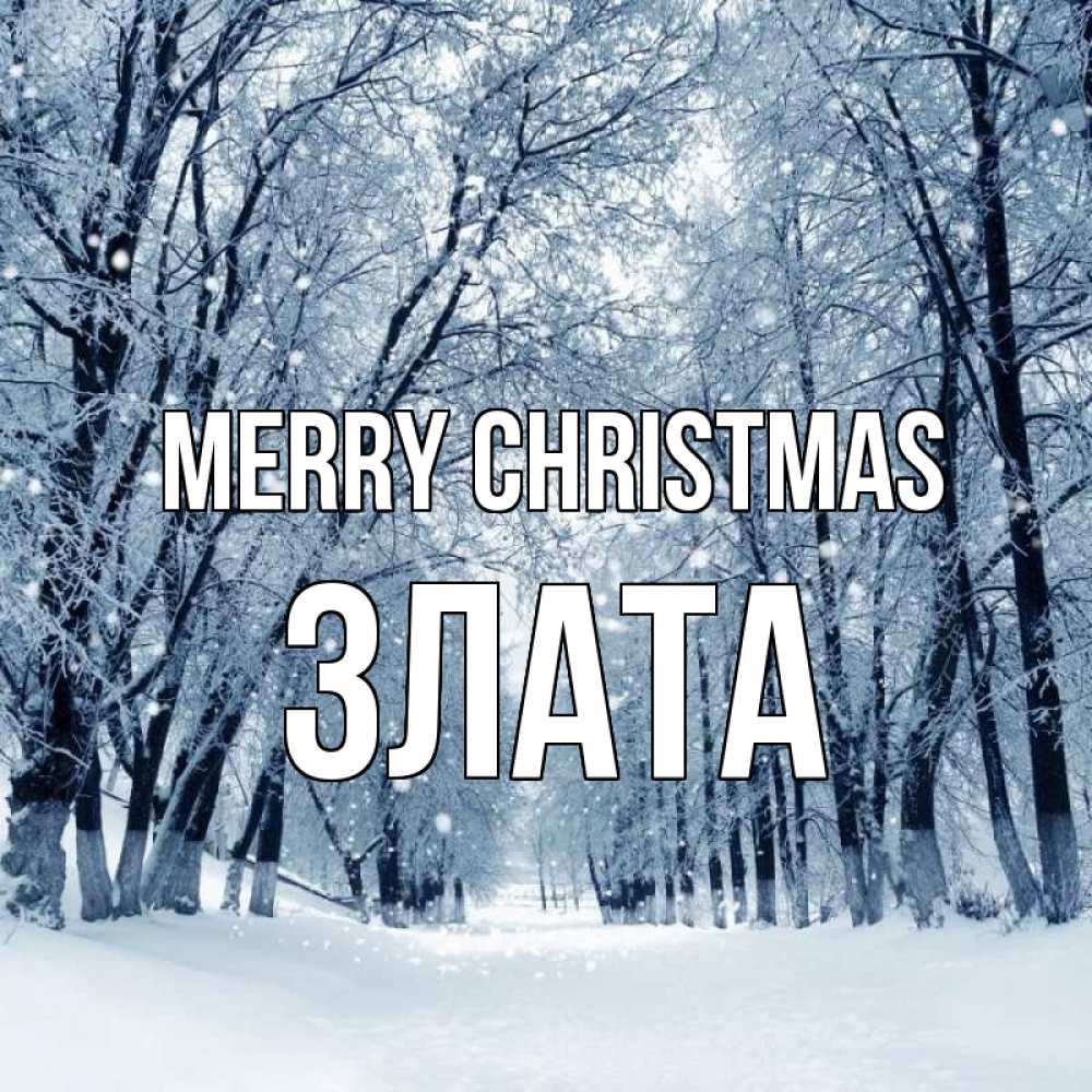 Greetings card с именем, Злата Merry Christmas снег, лес, парк Greetings with text for free download 