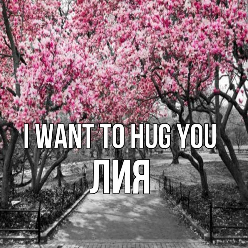 Greetings card с именем, Лия I want to hug you обработанное фото Greetings with text for free download 
