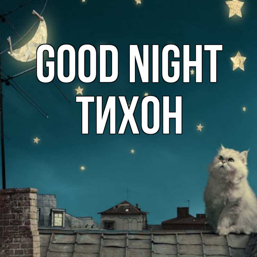 Greetings card с именем, Тихон Good night белый кот сидит на крыше Greetings with text for free download 