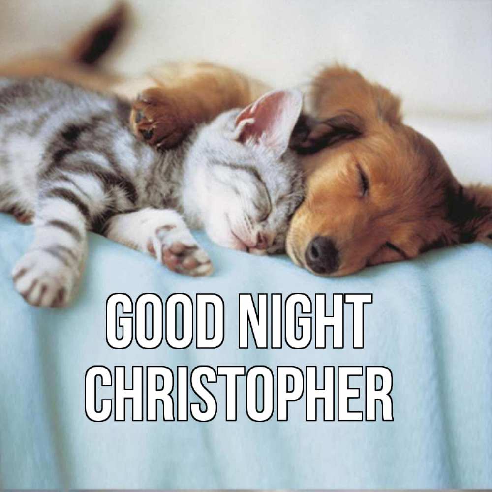 Greetings card с именем, Christopher Good night с животными Greetings with text for free download 