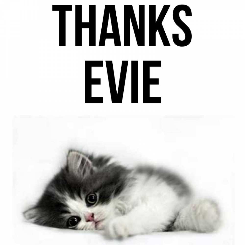 Greetings card с именем, Evie Thanks черный и белый кот Greetings with text for free download 