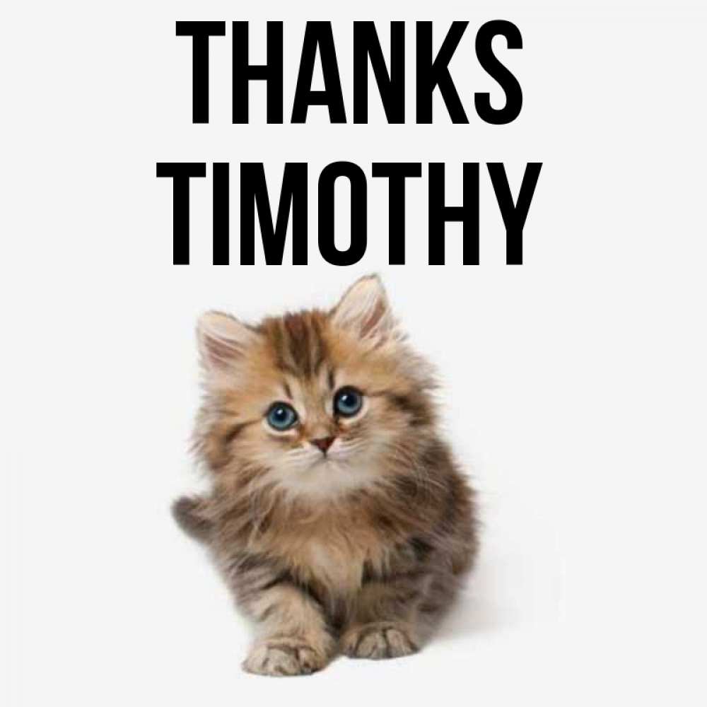 Greetings card с именем, Timothy Thanks пушистый котик Greetings with text for free download 