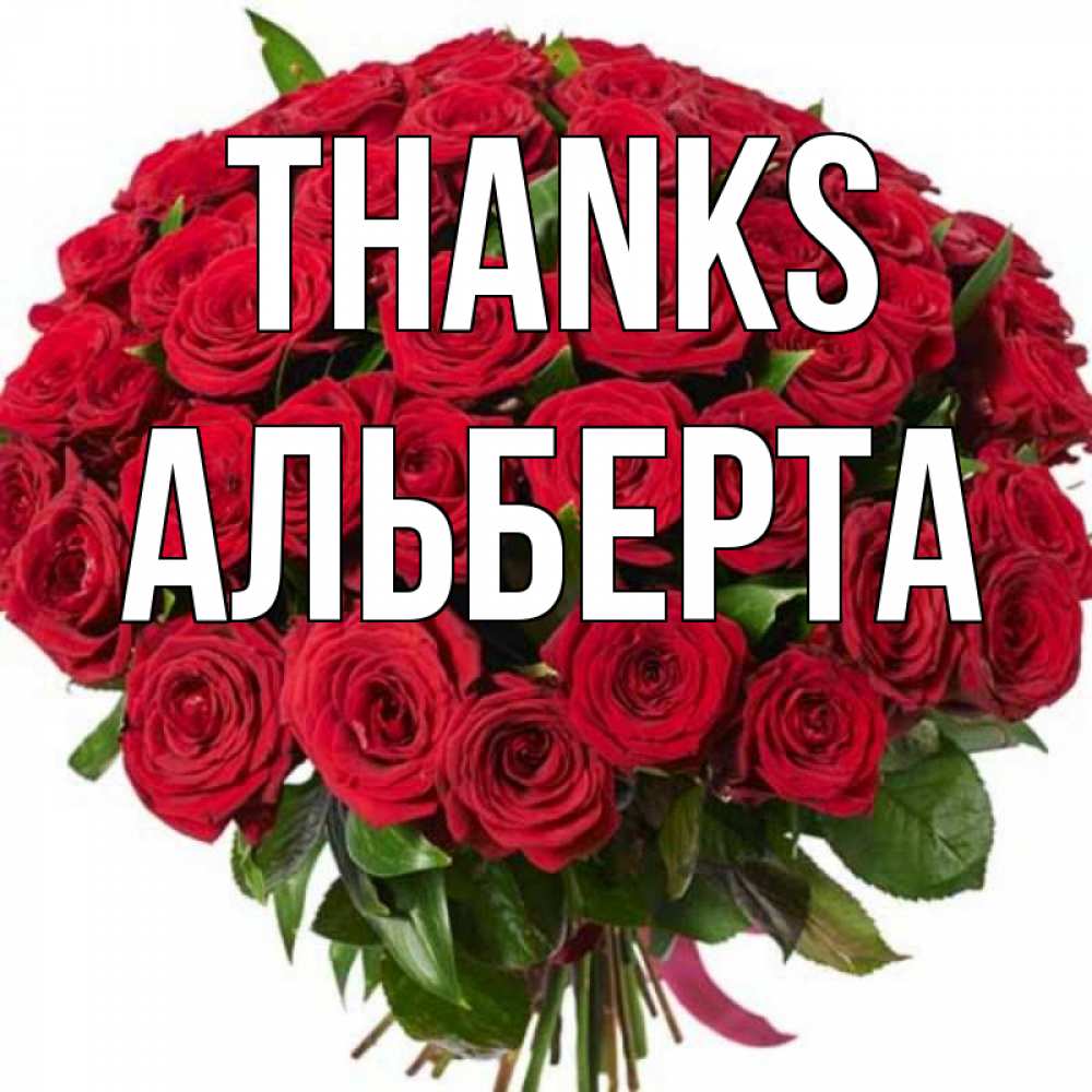 Greetings card с именем, Альберта Thanks букет красных роз Greetings with text for free download 