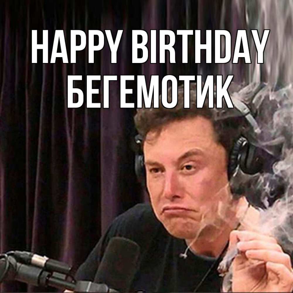 Greetings card с именем, Бегемотик Happy Birthday МЕМ Greetings with text for free download 
