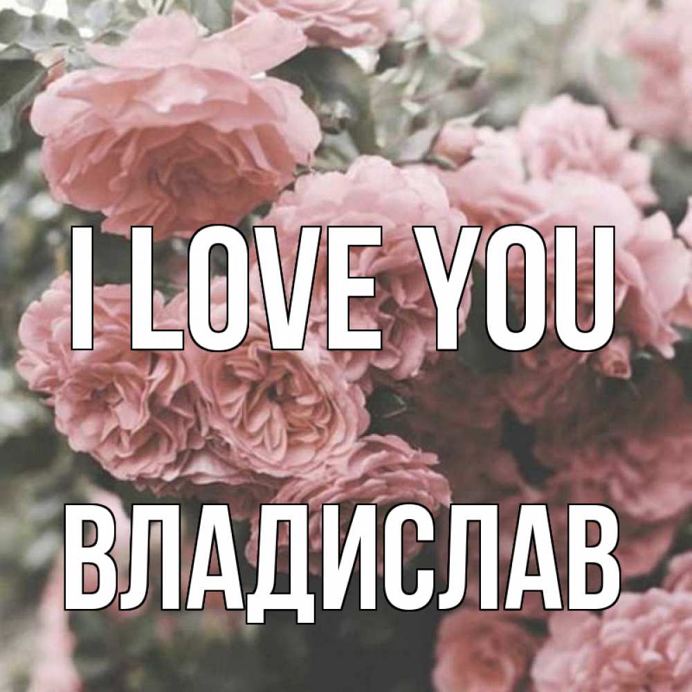 Greetings card с именем, Владислав I love you розы 3 Greetings with text for free download 