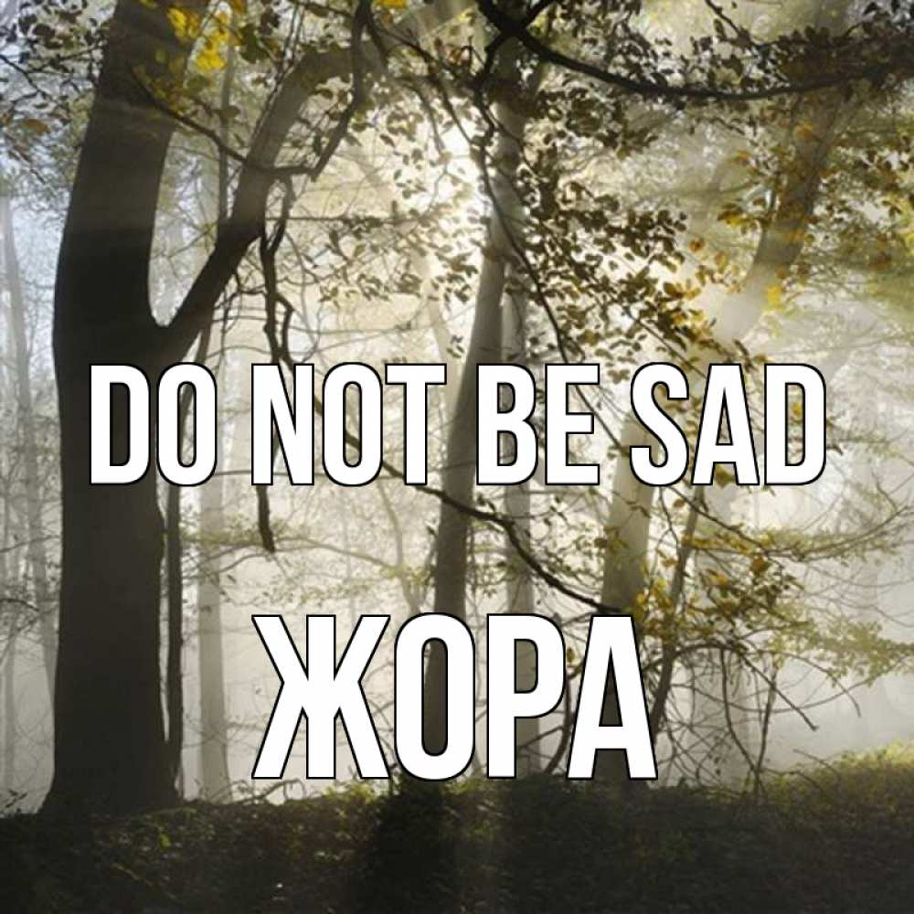 Greetings card с именем, Жора Do not be sad лес и свет Greetings with text for free download 