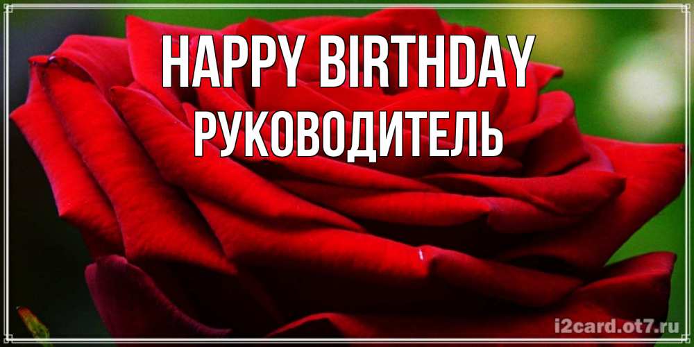 Greetings card с именем, Руководитель Happy Birthday розочка очень красивая Greetings with text for free download 