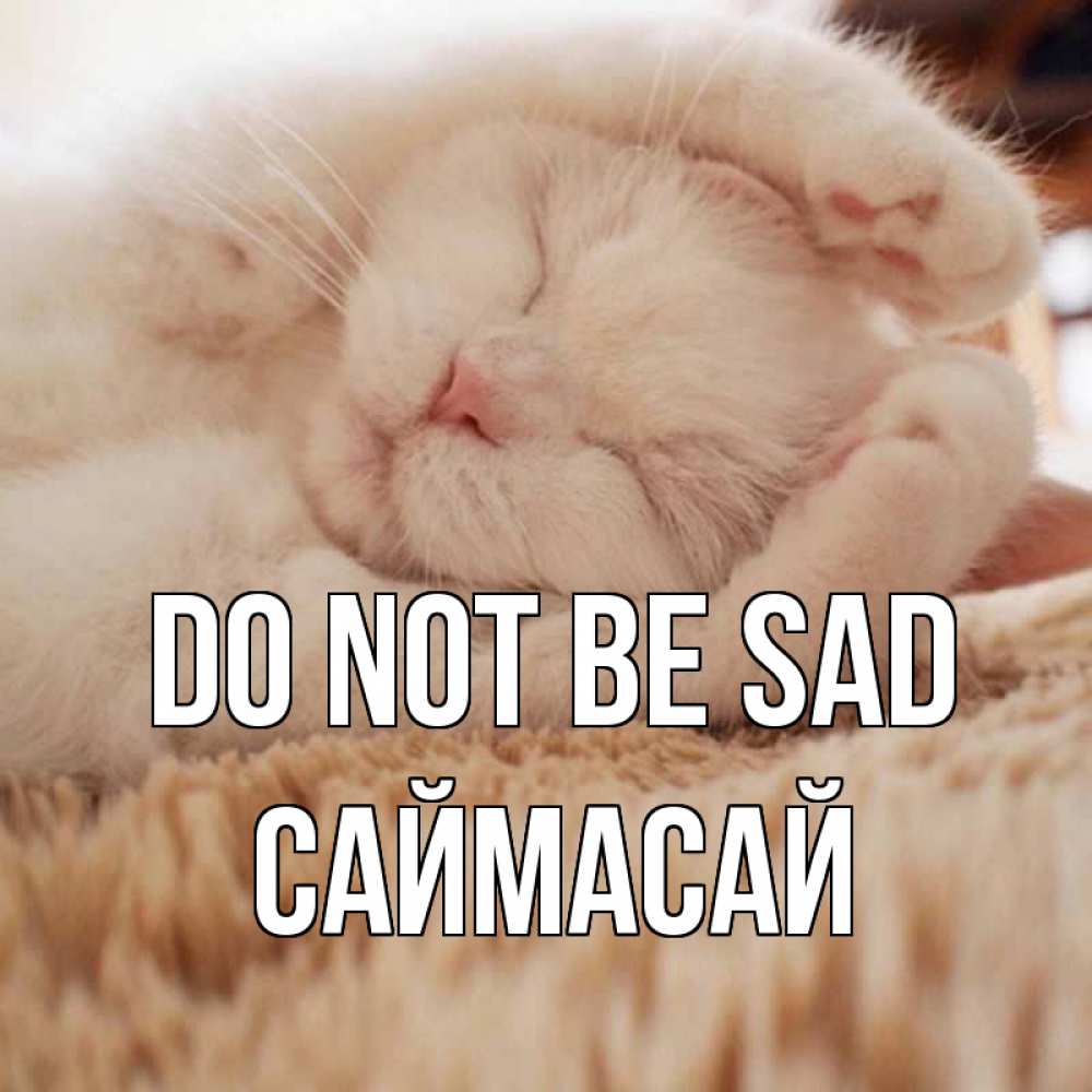 Greetings card с именем, САЙМАСАЙ Do not be sad белый кот Greetings with text for free download 