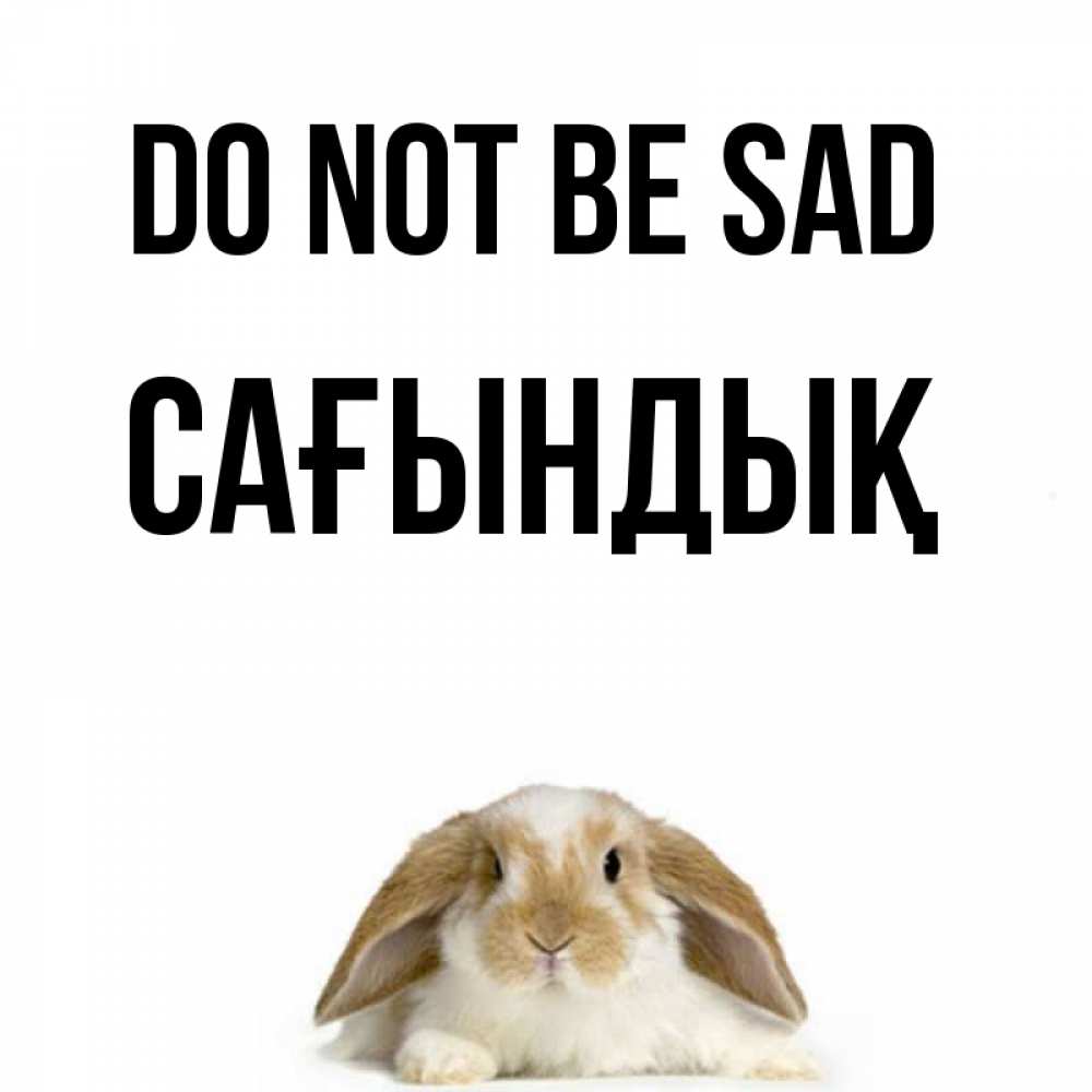 Greetings card с именем, САҒЫНДЫҚ Do not be sad коричнево белый заяц с большими ушками Greetings with text for free download 