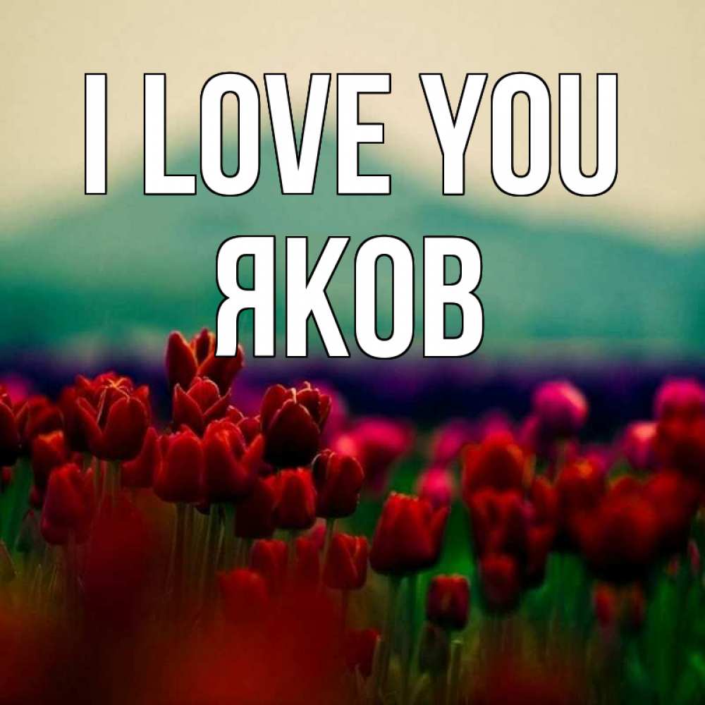 Greetings card с именем, Яков I love you тюльпаны 4 Greetings with text for free download 
