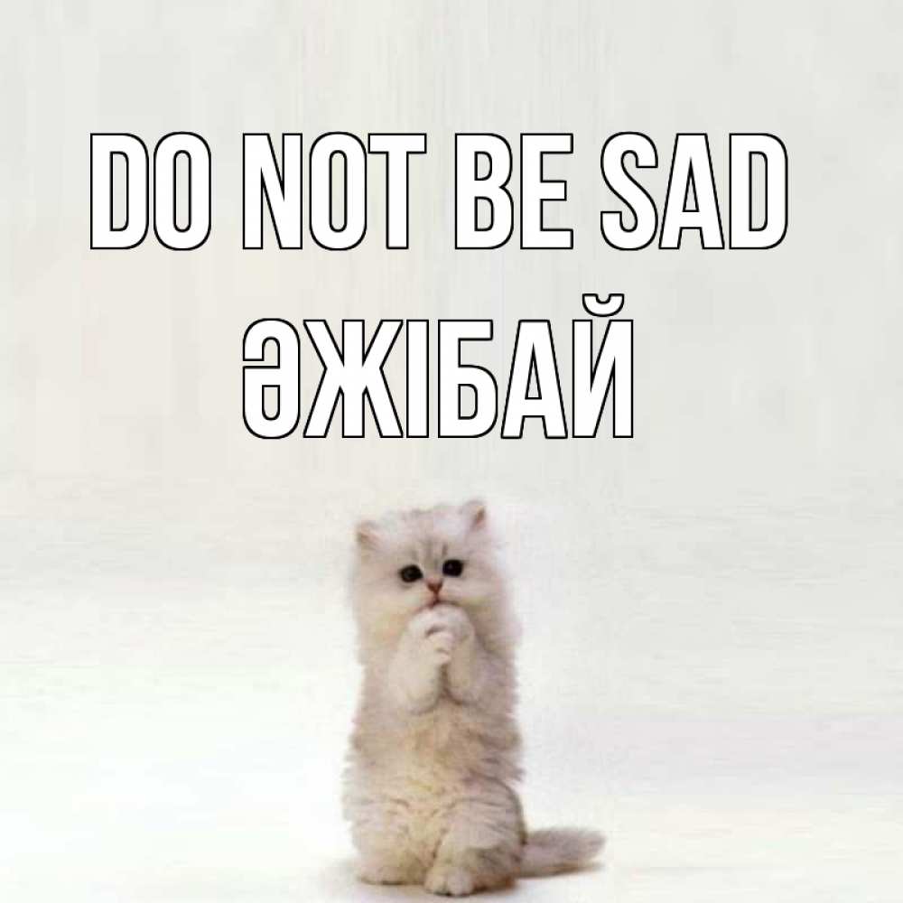 Greetings card с именем, Әжібай Do not be sad грустный кот Greetings with text for free download 