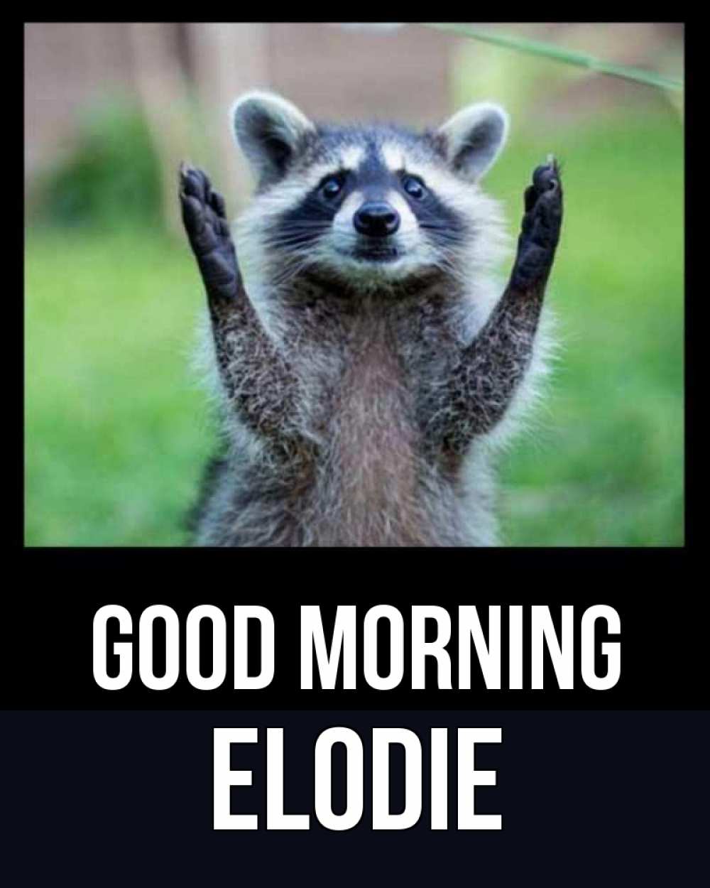 Greetings card с именем, Elodie Good morning хорошее настроение утречком Greetings with text for free download 