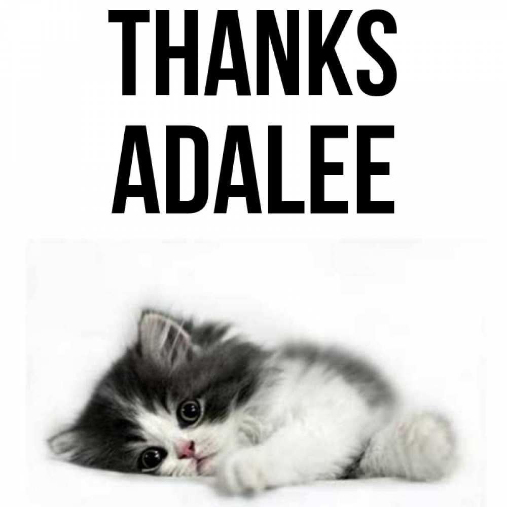Greetings card с именем, Adalee Thanks черный и белый кот Greetings with text for free download 
