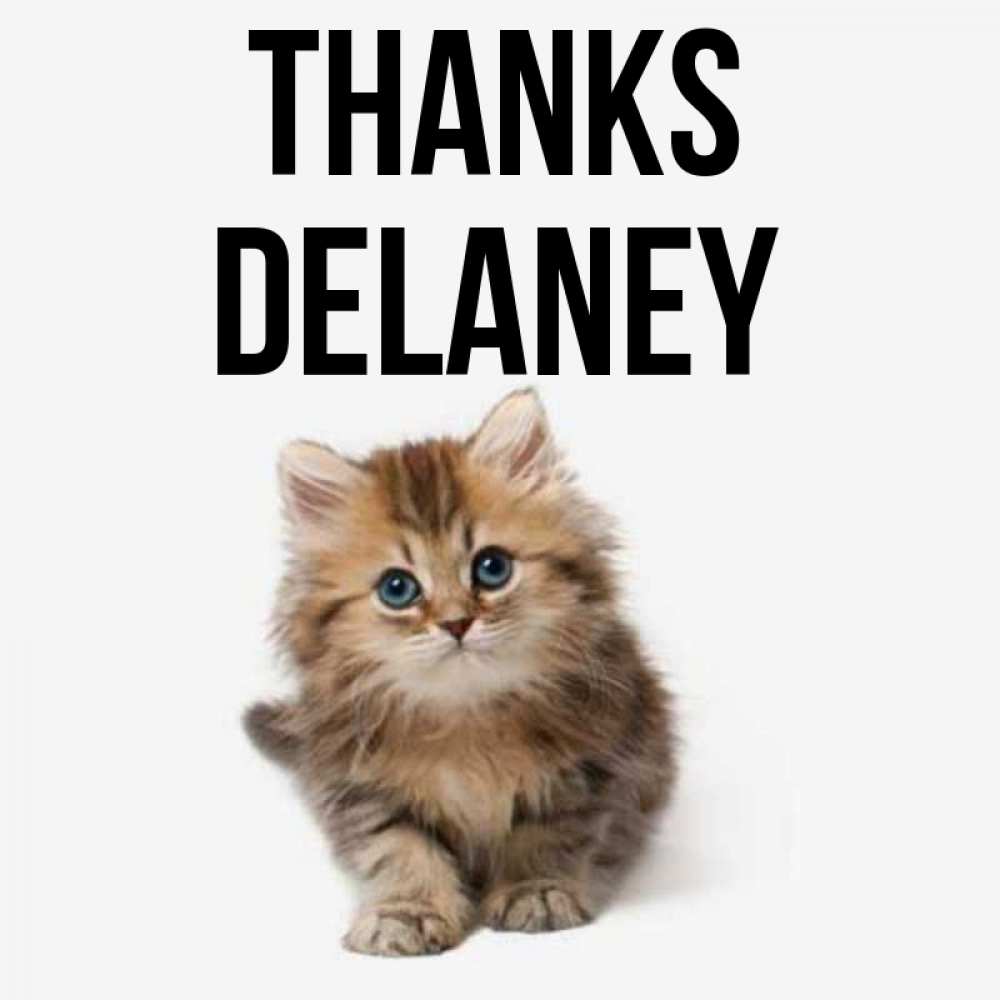 Greetings card с именем, Delaney Thanks пушистый котик Greetings with text for free download 