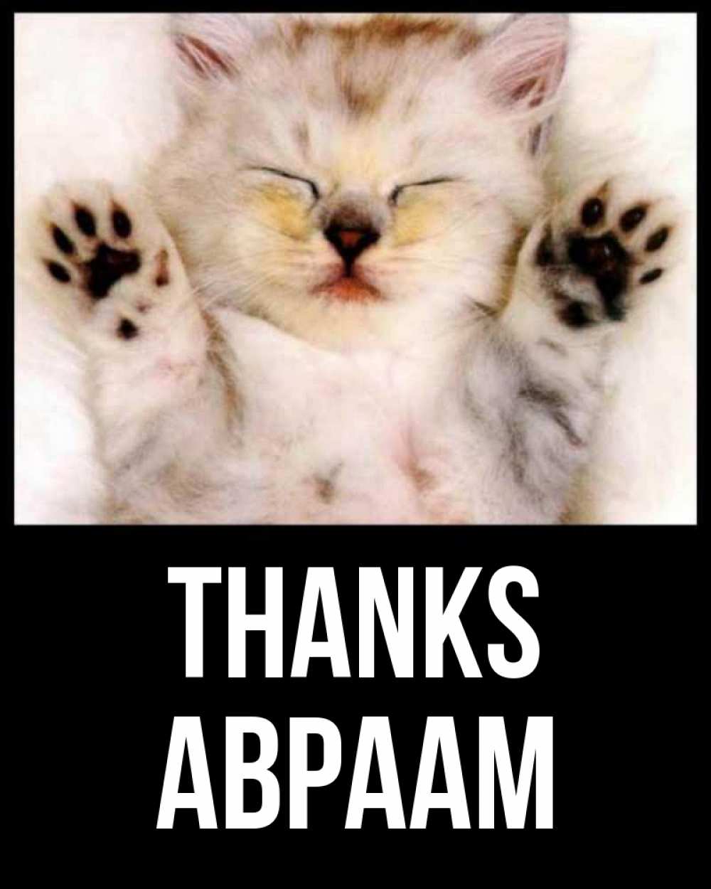 Greetings card с именем, Авраам Thanks маленький котенок Greetings with text for free download 