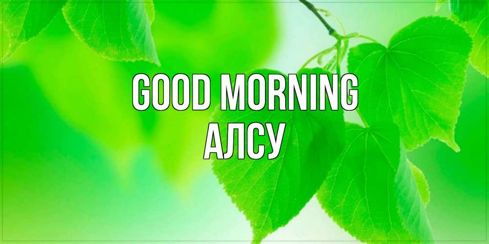 Greetings card с именем, Алсу Good morning доброе утро с березовыми листьями Greetings with text for free download 