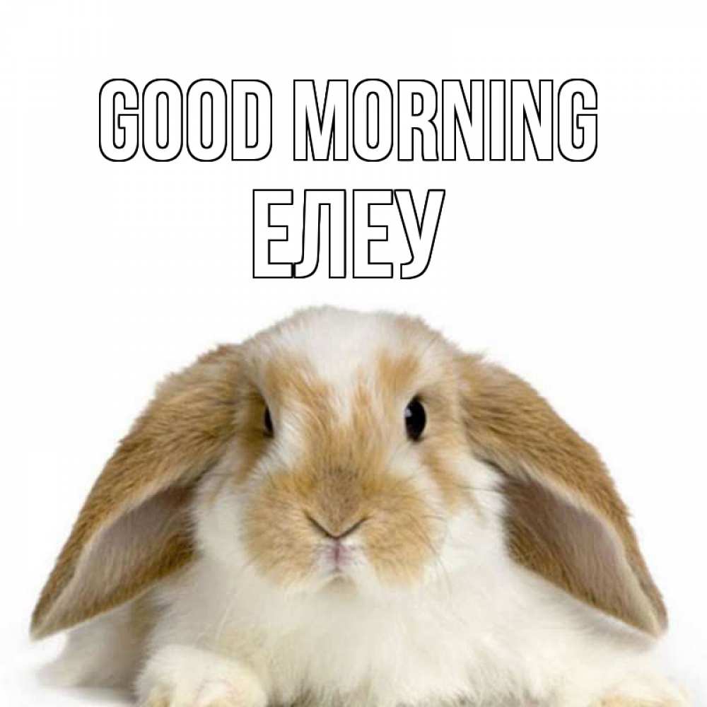 Greetings card с именем, Елеу Good morning прикольные открытки на каждый день Greetings with text for free download 