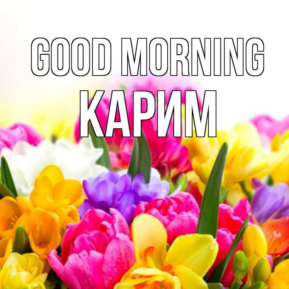 Greetings card с именем, Карим Good morning создать открытку со свое подписью Greetings with text for free download 
