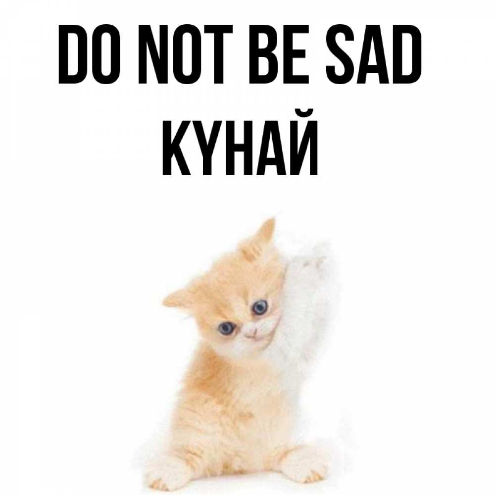 Greetings card с именем, КҮНАЙ Do not be sad просящий кот Greetings with text for free download 