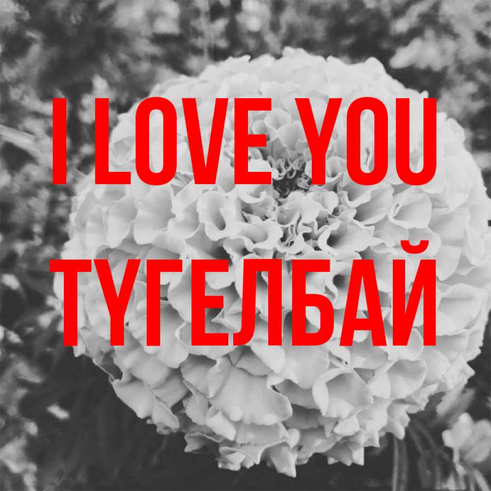 Greetings card с именем, ТҮГЕЛБАЙ I love you подпись Greetings with text for free download 