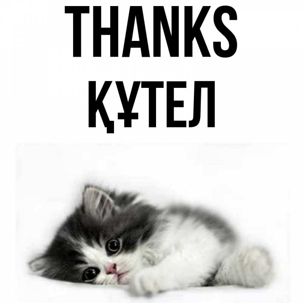 Greetings card с именем, ҚҰТЕЛ Thanks черный и белый кот Greetings with text for free download 