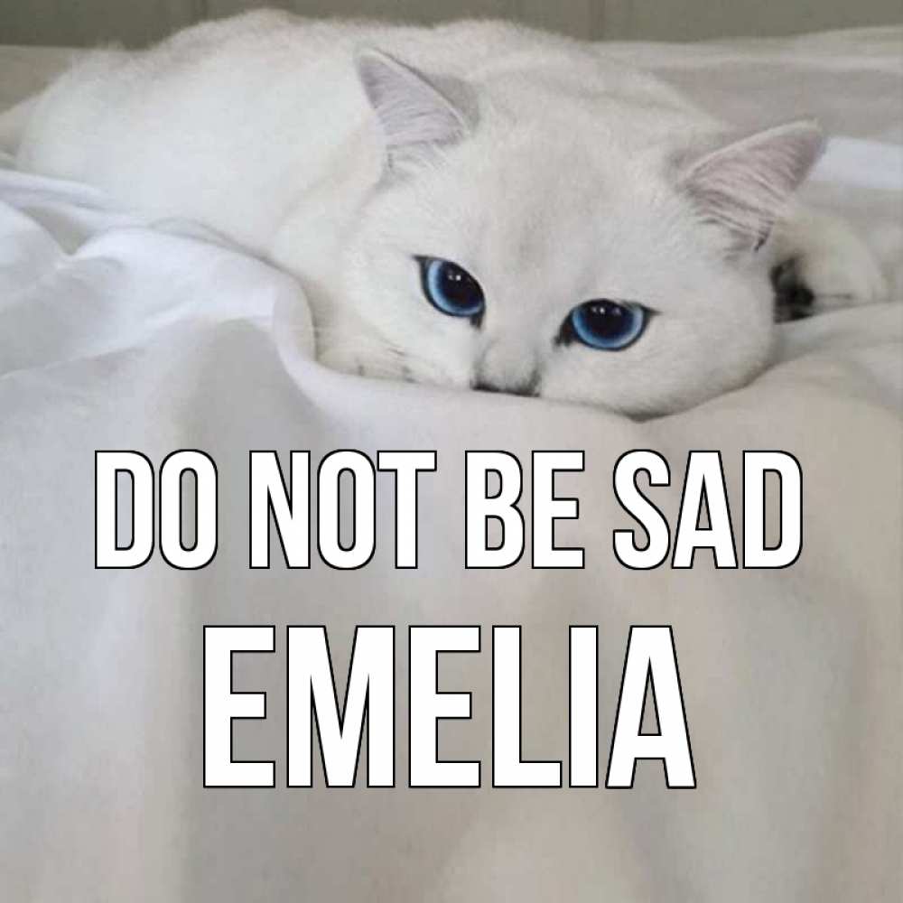 Greetings card с именем, Emelia Do not be sad белый кот с голубыми глазами на белоснежной кровати Greetings with text for free download 